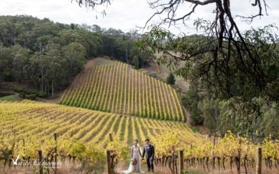 Mt Lofty Ranges Vineyard Wedding
